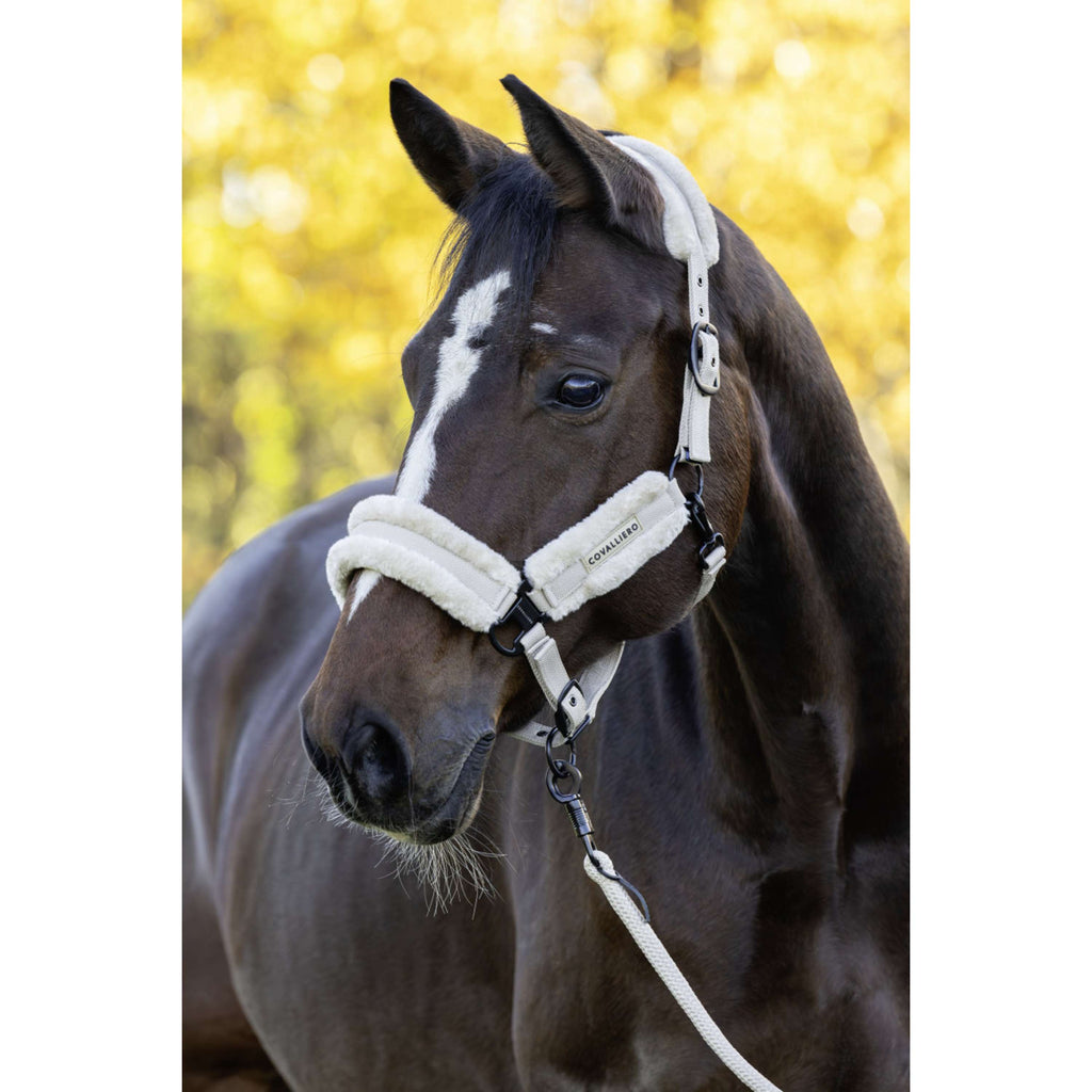 Covalliero Cabestro Soft AW26 Beige