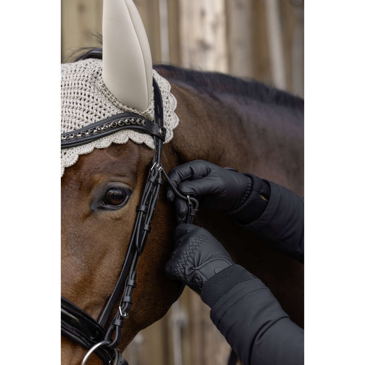 Covalliero Guantes de Equitación AW26 Negro
