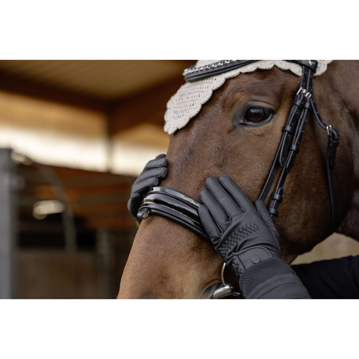 Covalliero Guantes de Equitación AW26 Negro