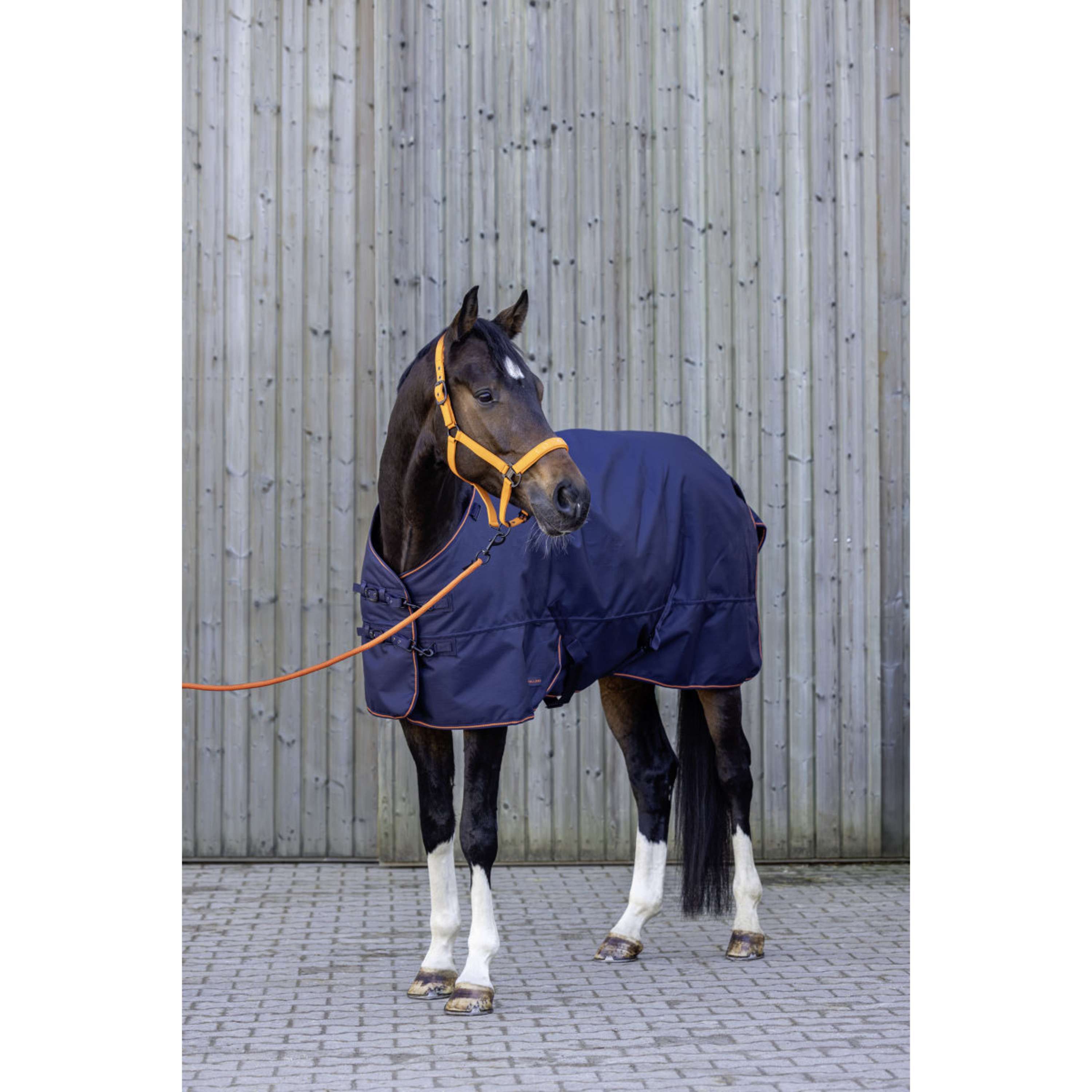 Covalliero Alfombra de Exterior AW26 300g Dark Navy