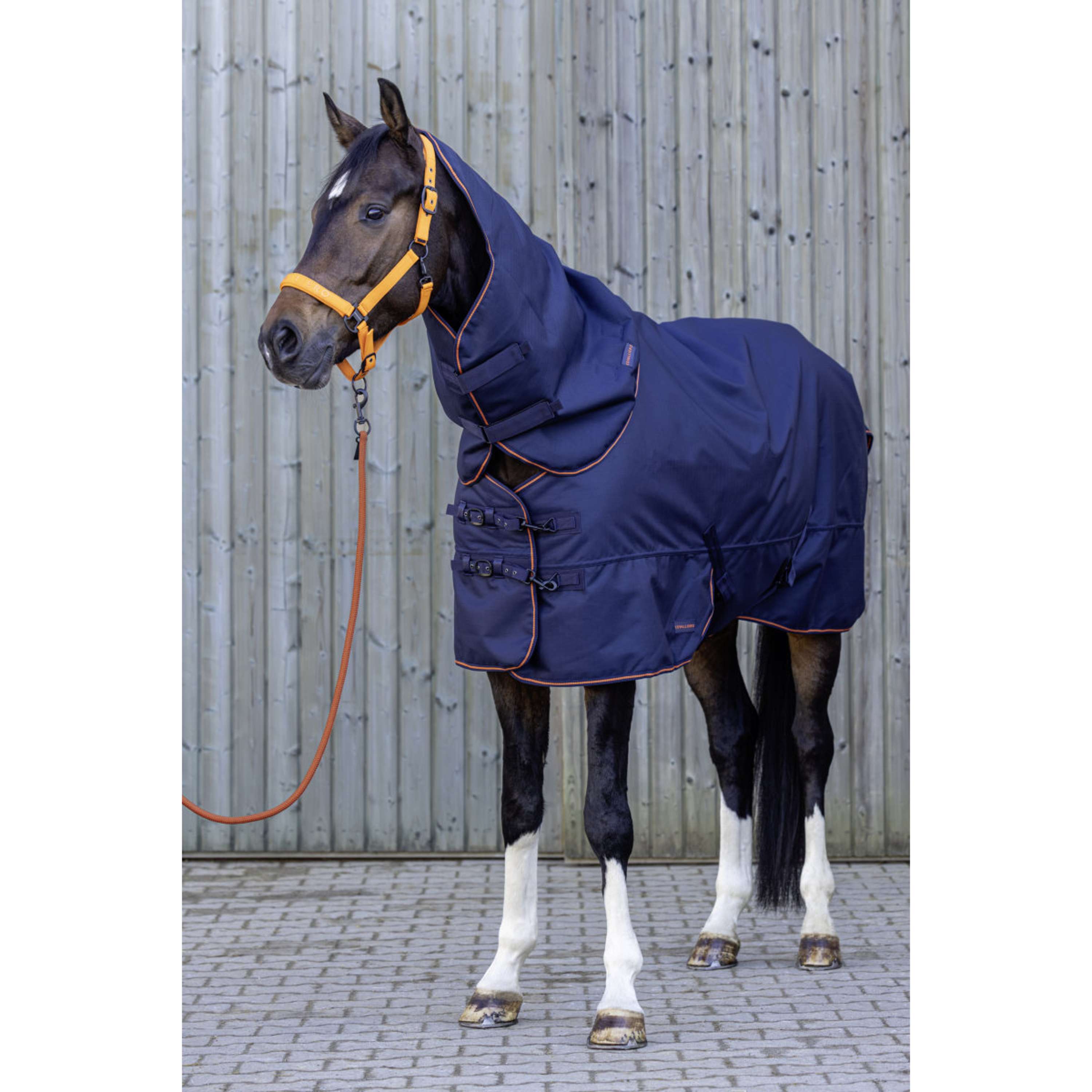 Covalliero Cubrecuellos AW26 100g Dark Navy