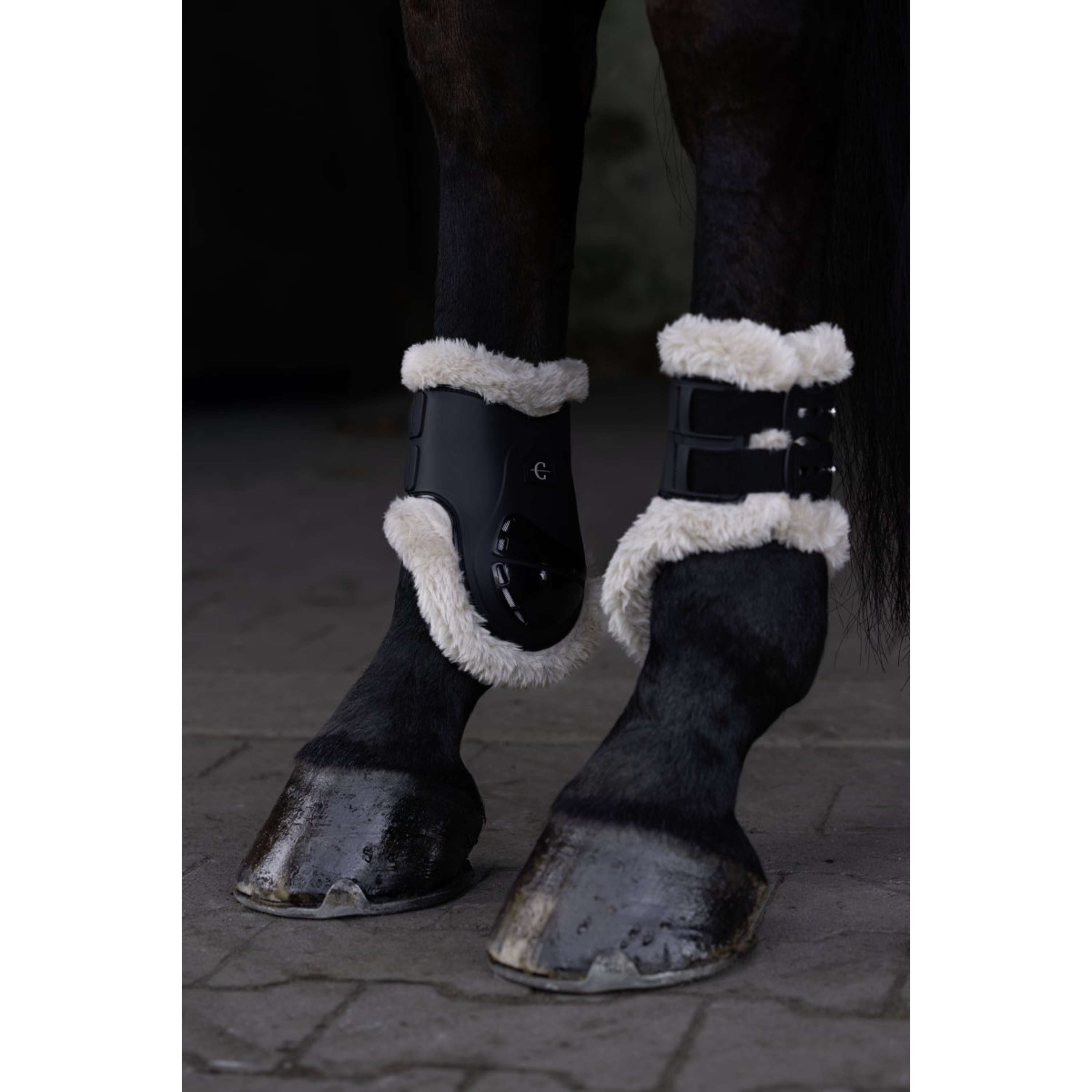 Covalliero Botas para menudillo AW26 Negro