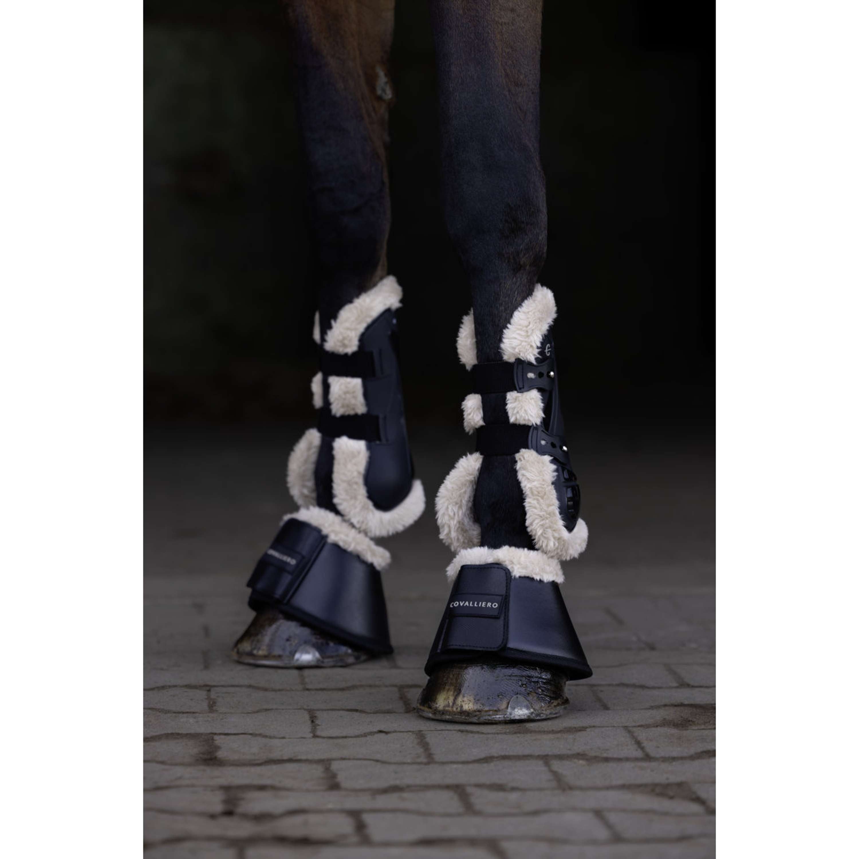 Covalliero Botas para Caballos AW26 Negro