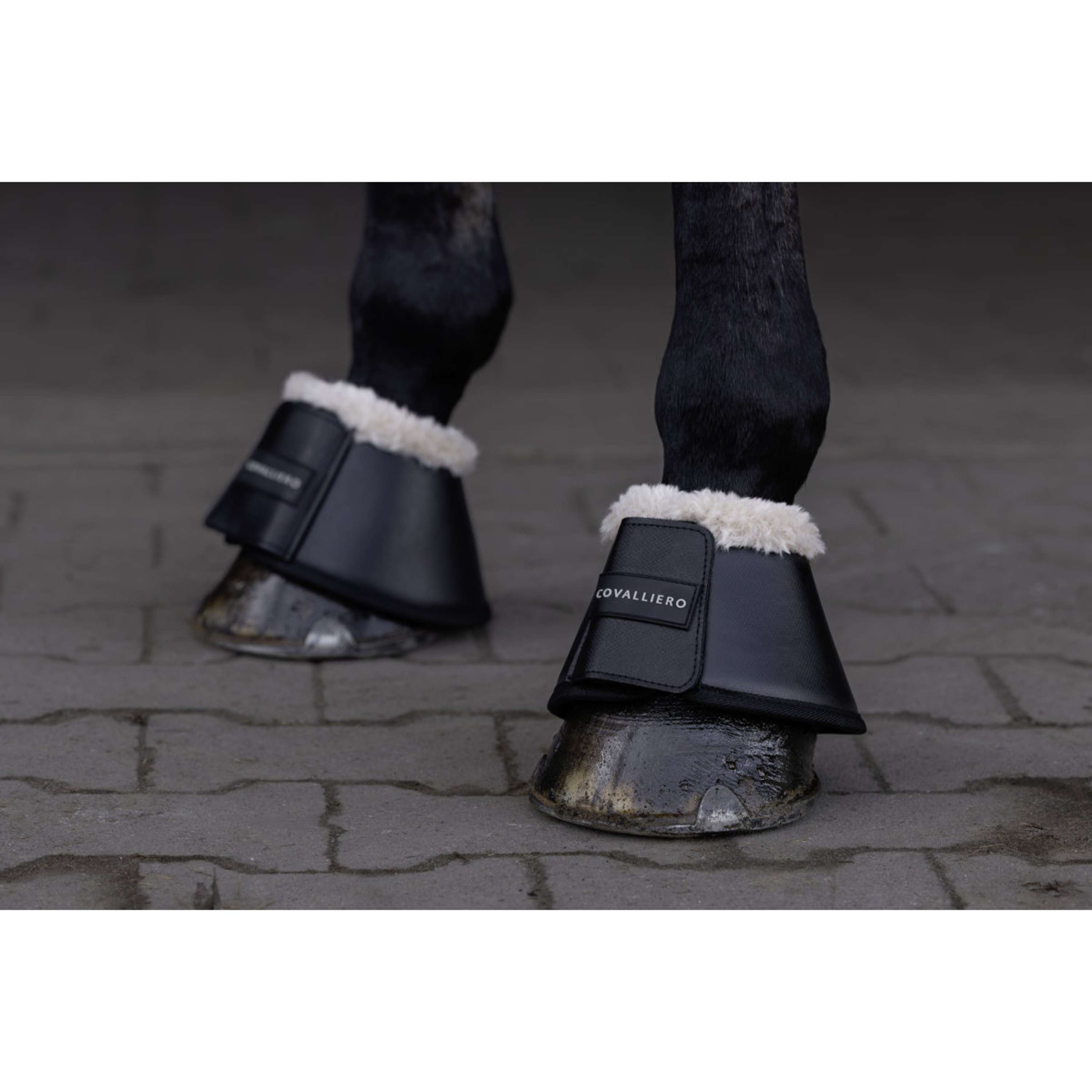 Covalliero Botas para Caballos AW26 Negro