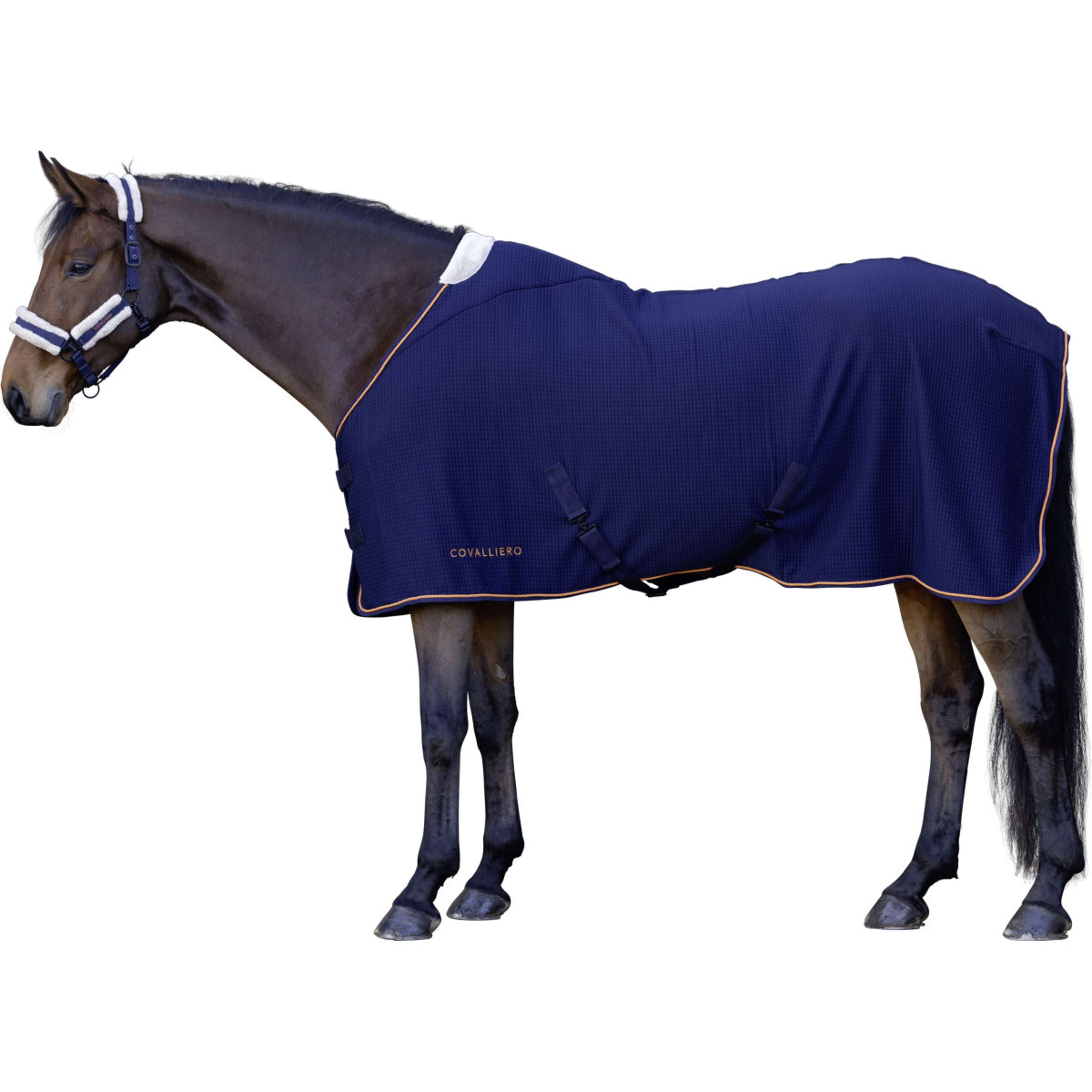 Covalliero Manta para el sudor Premium AW26 Dark Navy
