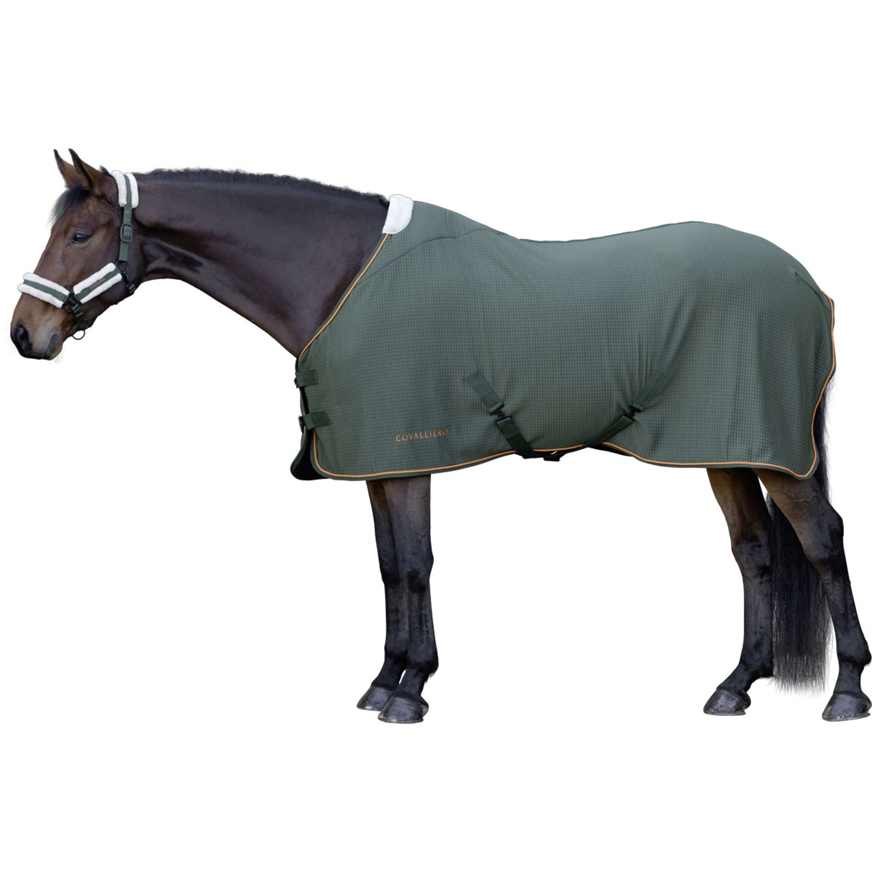 Covalliero Manta para el sudor Premium AW26 Forest Green