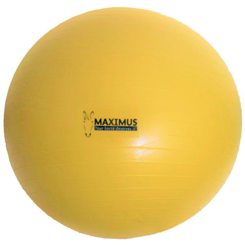 Maximus Ball Power Play Amarillo