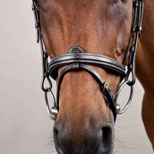 Dyon Brida Flash Negro