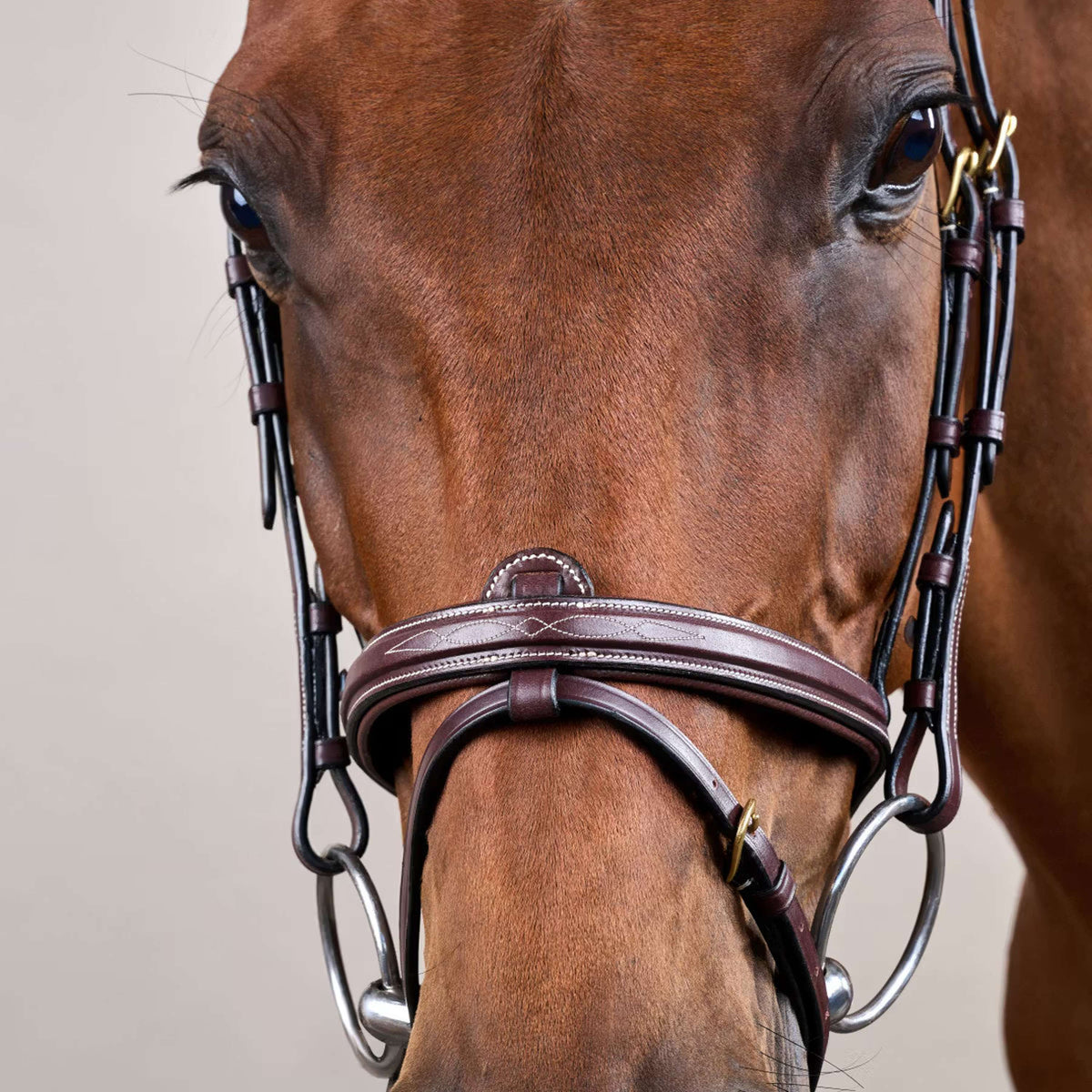 Dyon Brida Flash Marron
