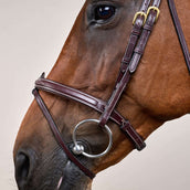 Dyon Brida Flash Marron