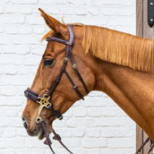 Dyon Brida Hackamore Marron