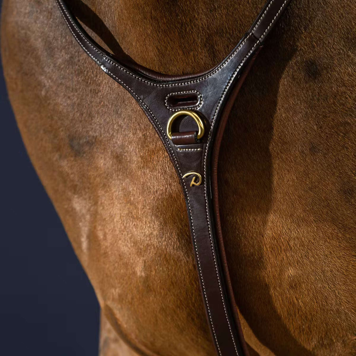 Dyon Martingala Yoke Marron