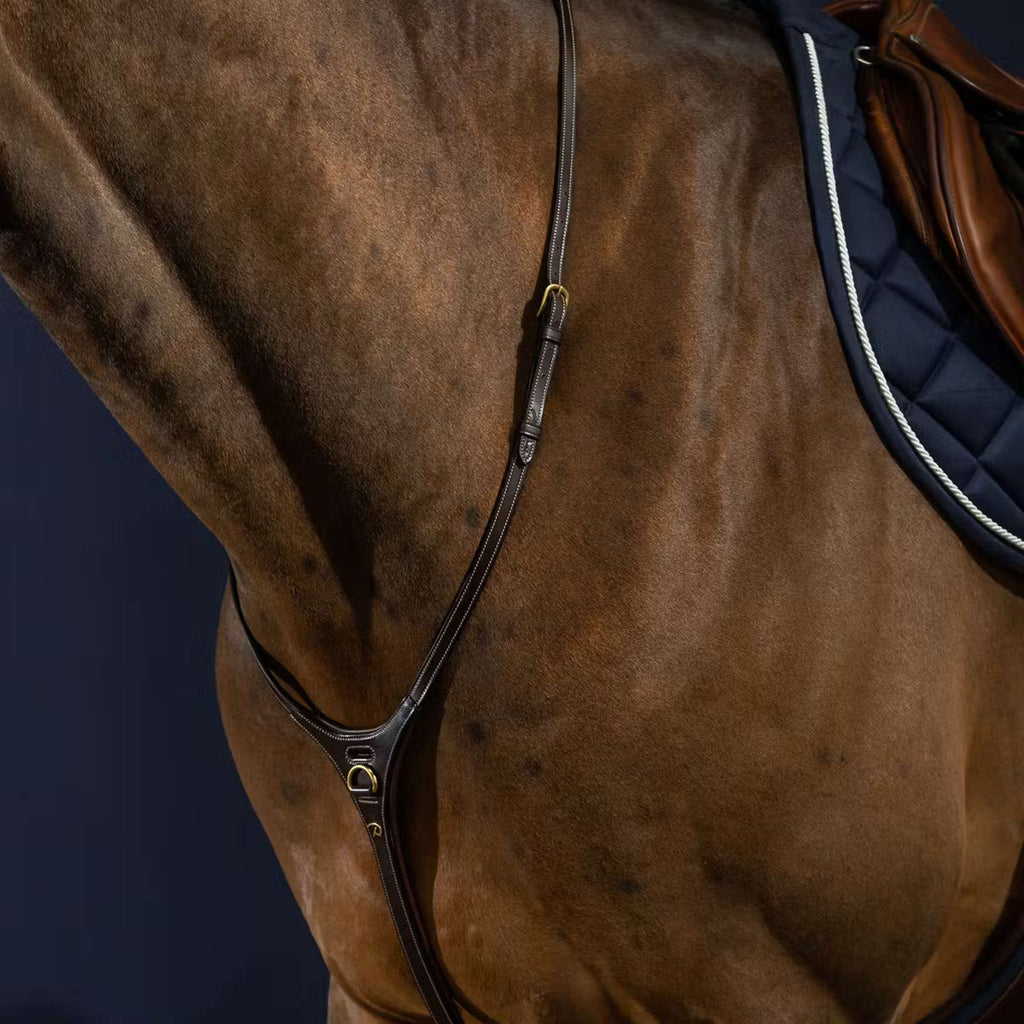Dyon Martingala Yoke Marron