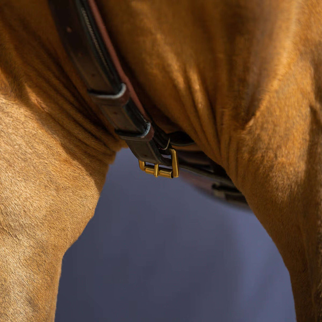 Dyon Martingala Yoke Marron