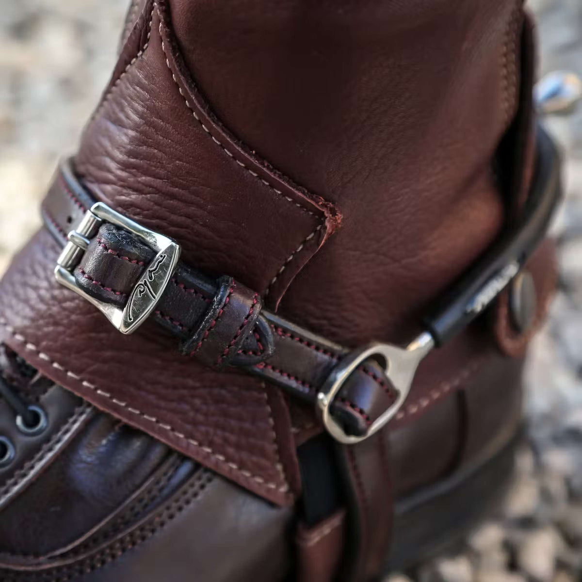 Dyon Correas para espuelas Marron