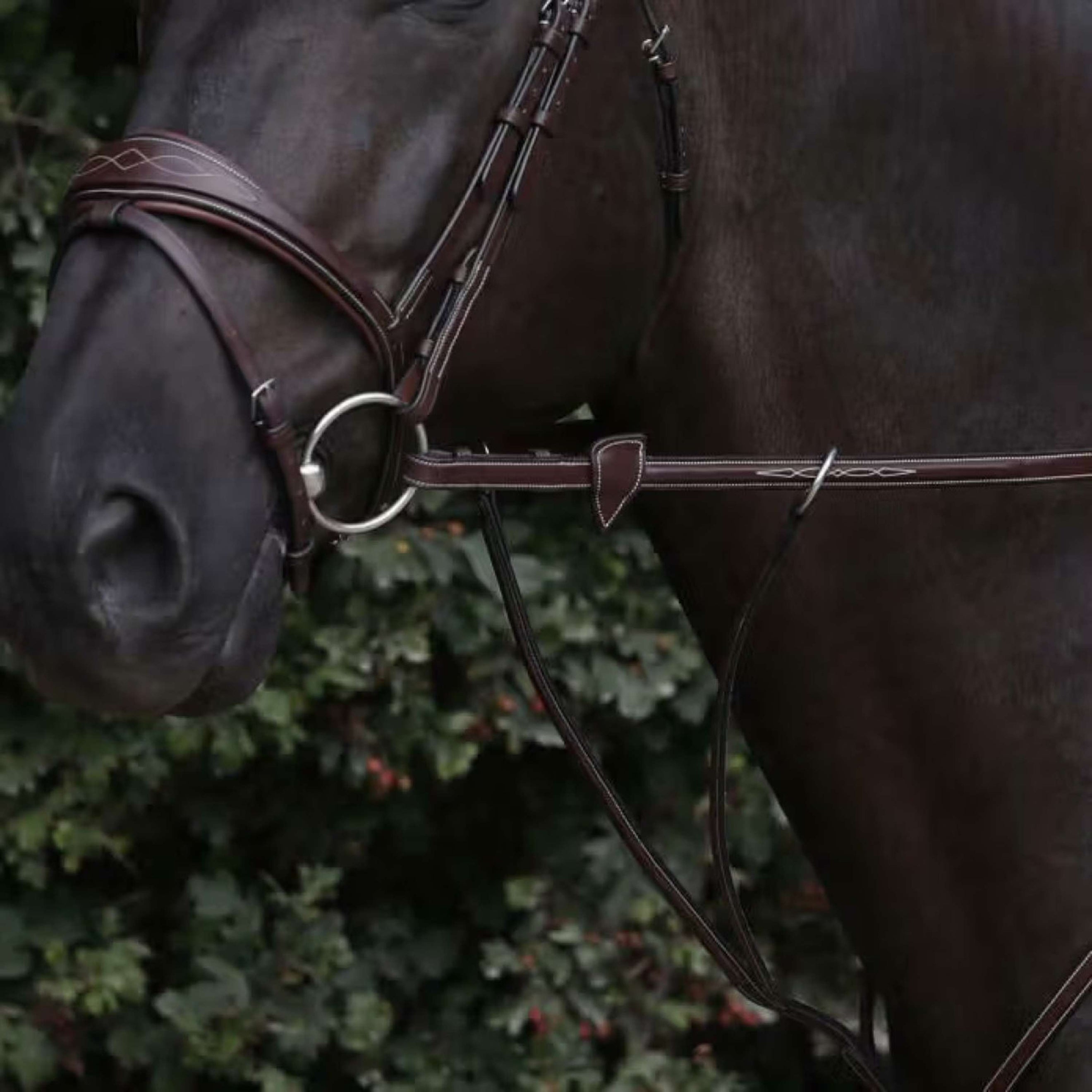 Dyon Riendas US Collection 1/2 Caucho Marron Dyon Riendas US Collection 1/2 Caucho Marron