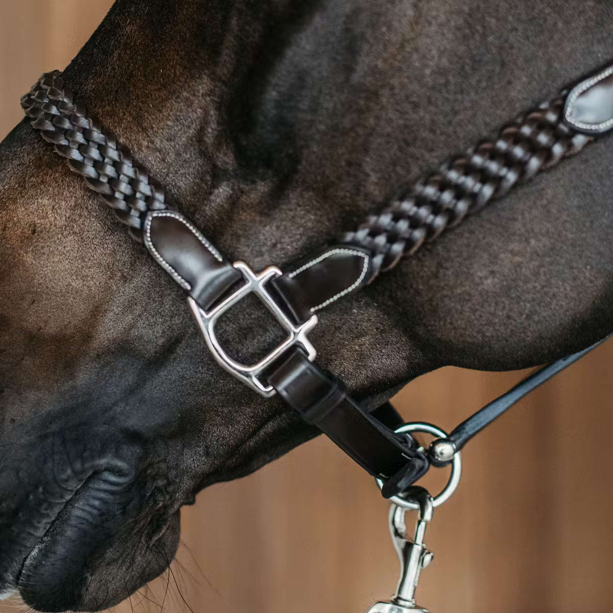 Dyon Cabestro Plaited Marron