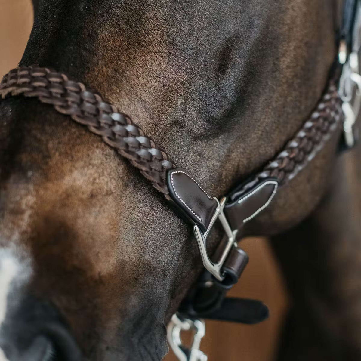 Dyon Cabestro Plaited Marron