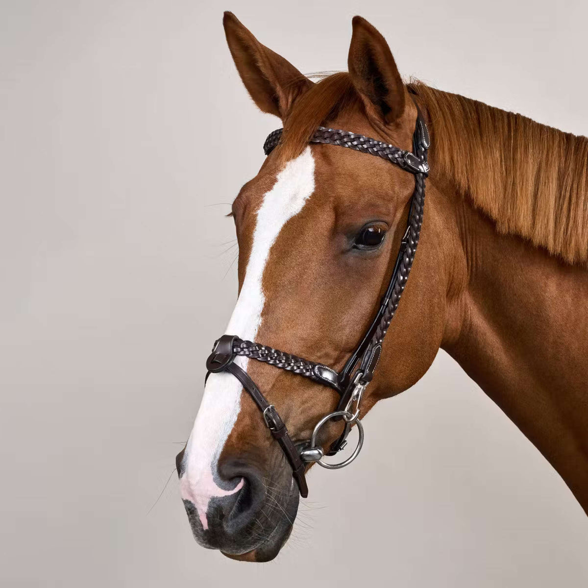 Dyon Brida Training Marron