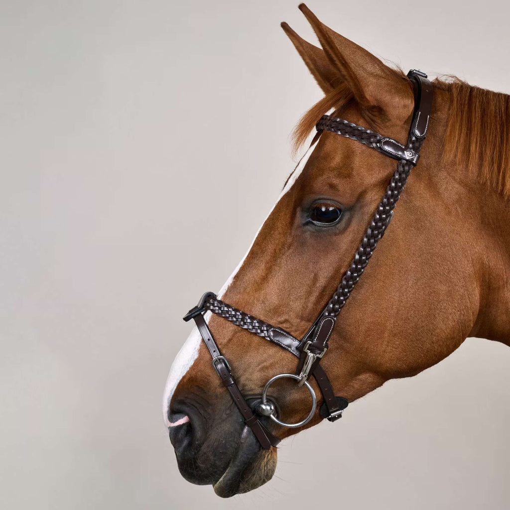 Dyon Brida Training Marron