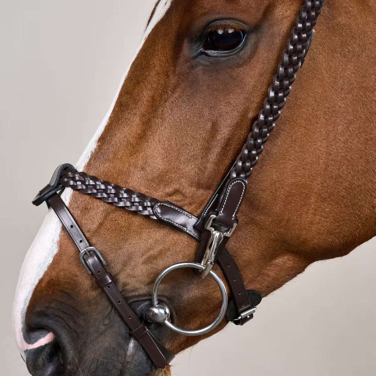 Dyon Brida Training Marron