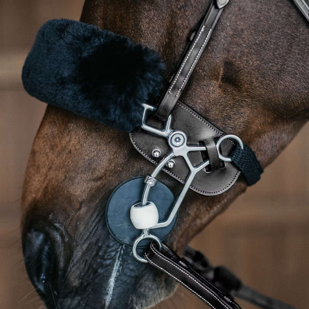 Dyon Protección Hackamore Negro