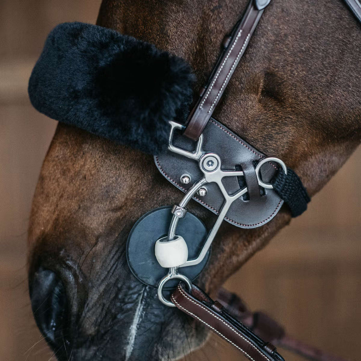 Dyon Protección Hackamore Marron