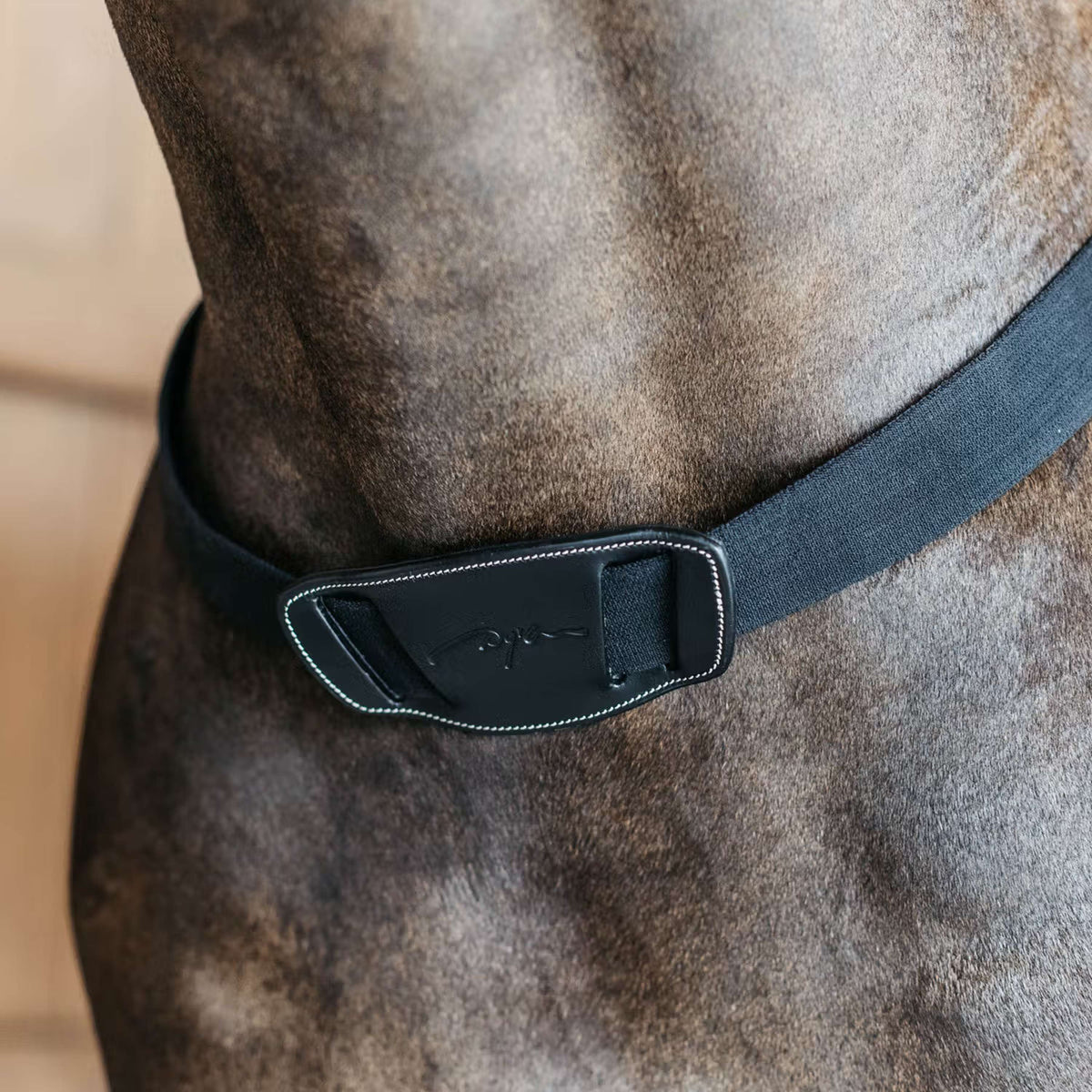 Dyon Arnés de Pecho Elastic Negro