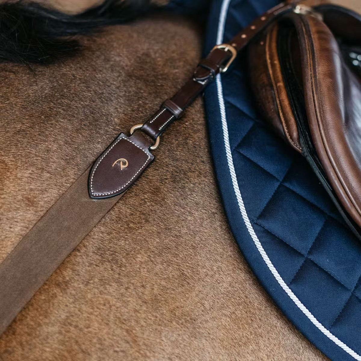 Dyon Arnés de Pecho Elastic Marron
