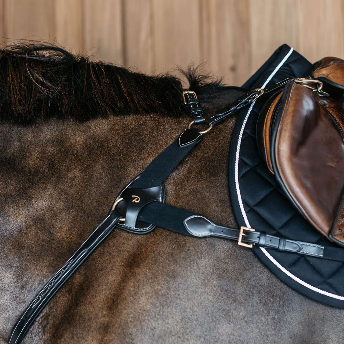 Dyon Protectores de Arneses de Pecho 5 points Negro