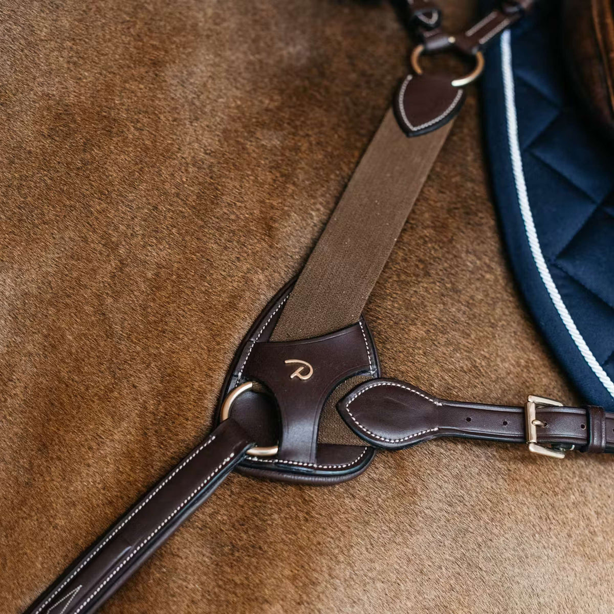 Dyon Protectores de Arneses de Pecho 5 points Marron