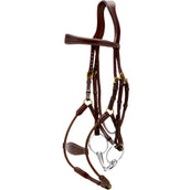 Dyon Brida Elastic Hybrid Marron