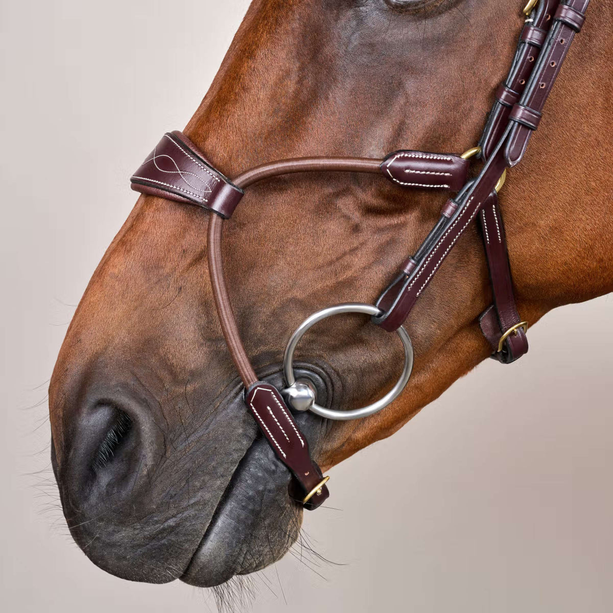 Dyon Brida Elastic Hybrid Marron