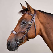 Dyon Brida Hybrid Marron