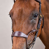 Dyon Brida Hybrid Marron