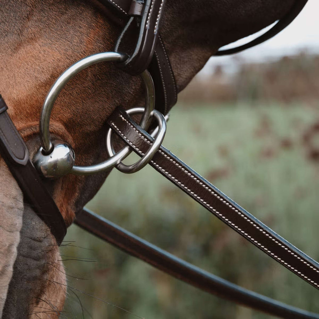 Dyon Riendas 1/2 7 Stops Cierre de anilla Marron
