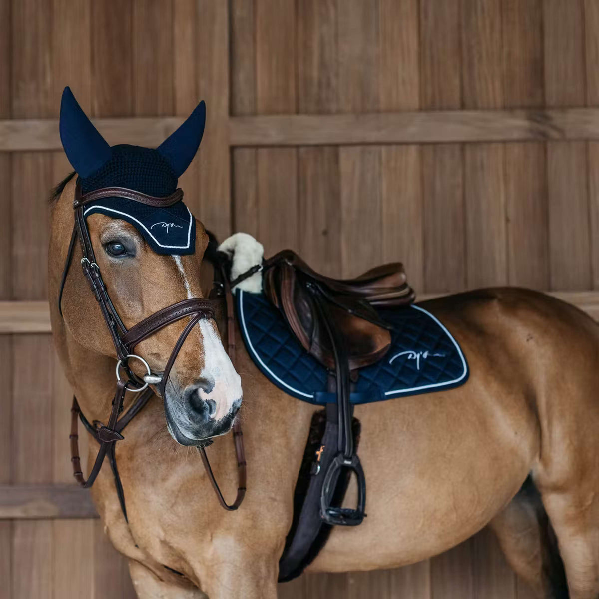 Dyon Bonete para Orejas Diamond Soundless Navy
