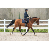 Dyon Riendas de Gogue 5/8 Cuero/Nylon Negro