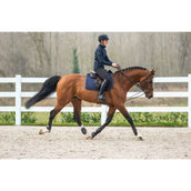 Dyon Riendas de Gogue 5/8 Cuero/Nylon Negro