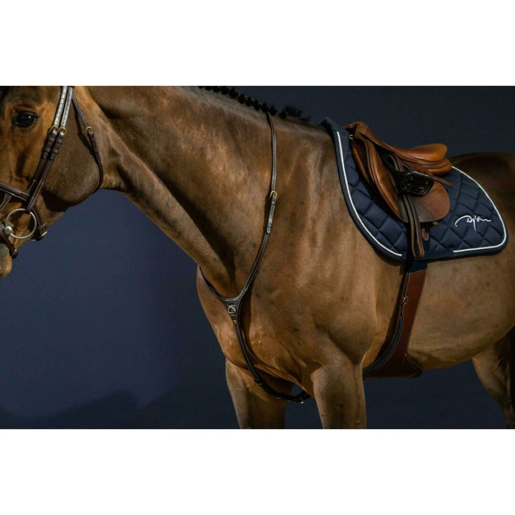Dyon Martingala Yoke Marron