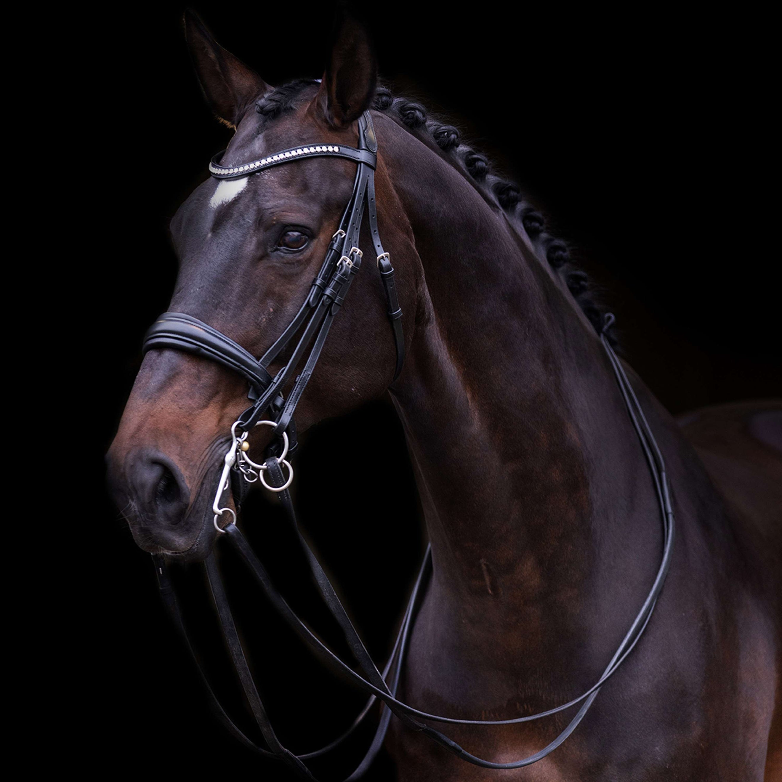 Imperial Riding Brida Doble IRHFria Negro Imperial Riding Brida Doble IRHFria Negro