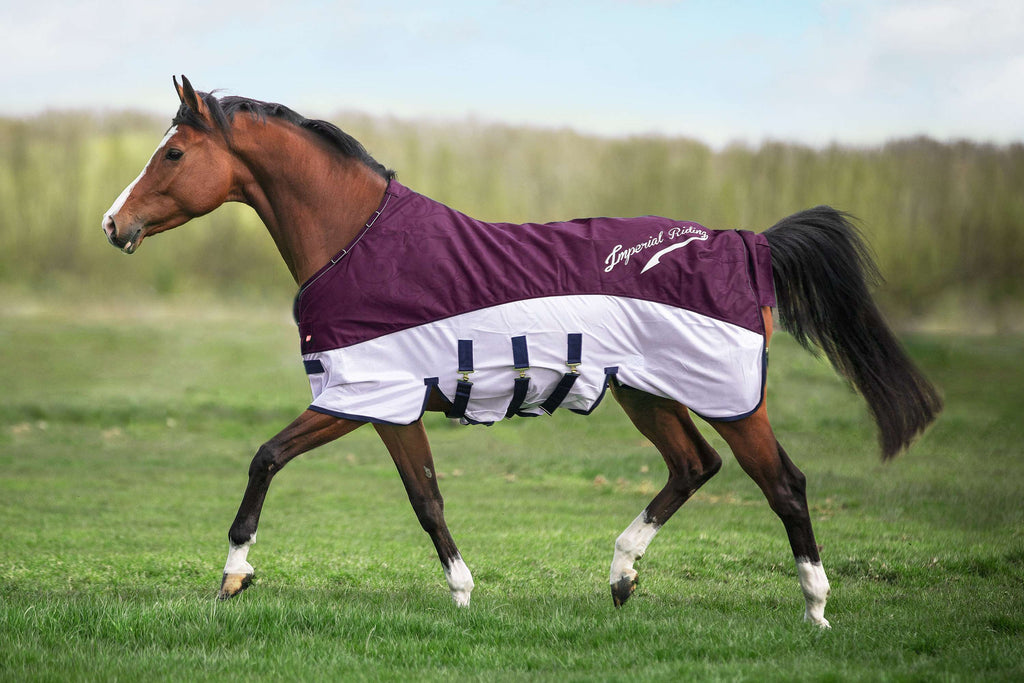 Imperial Riding Mosca y Manta de Iluvia IRHSuper-Dry Bordeaux