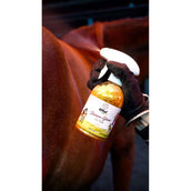 Effol Spray Brillante Kids Star Gold