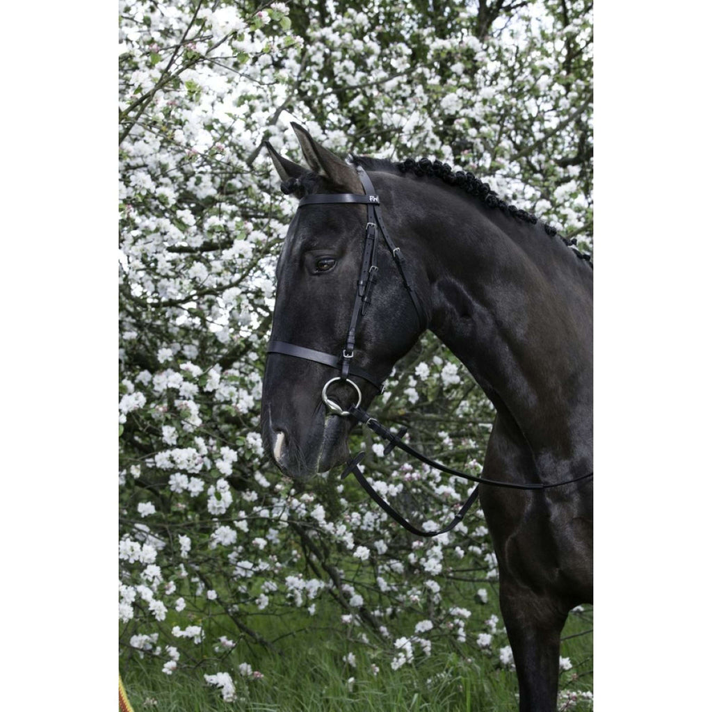 Riding World Brida Negro