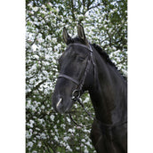Riding World Brida Habana