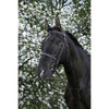 Riding World Brida Habana