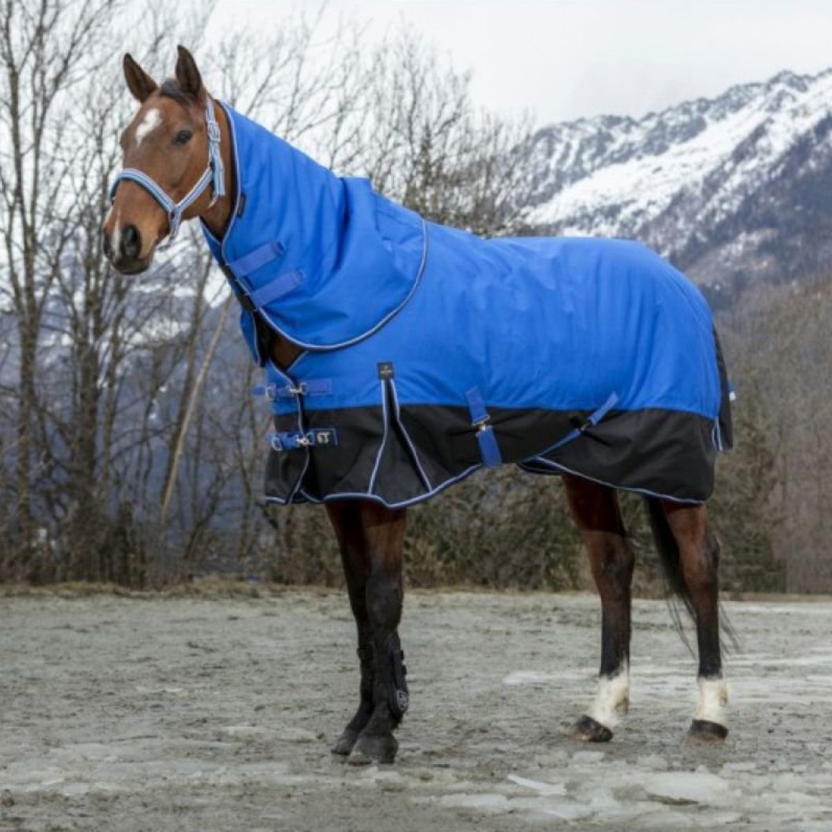 EQUITHÈME Alfombra de Exterior Tyrex Azul/Negro