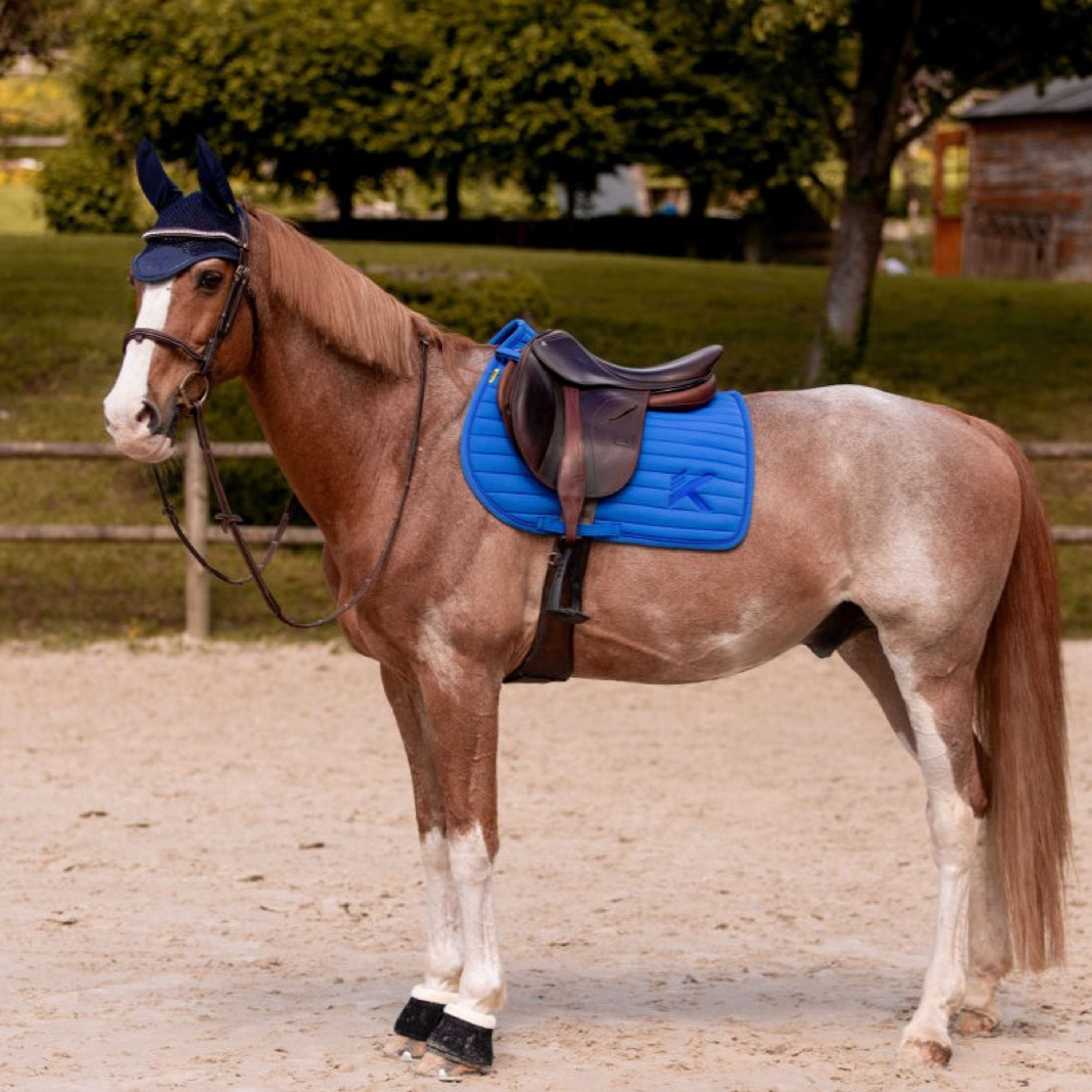 K by EQUITHÈME Mantilla Triton Saltando Azul Real