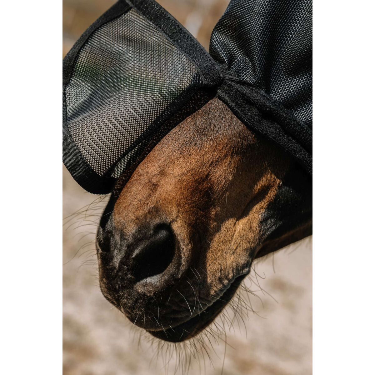 EQUITHÈME Máscara para Moscas Protec con Protección UV Negro