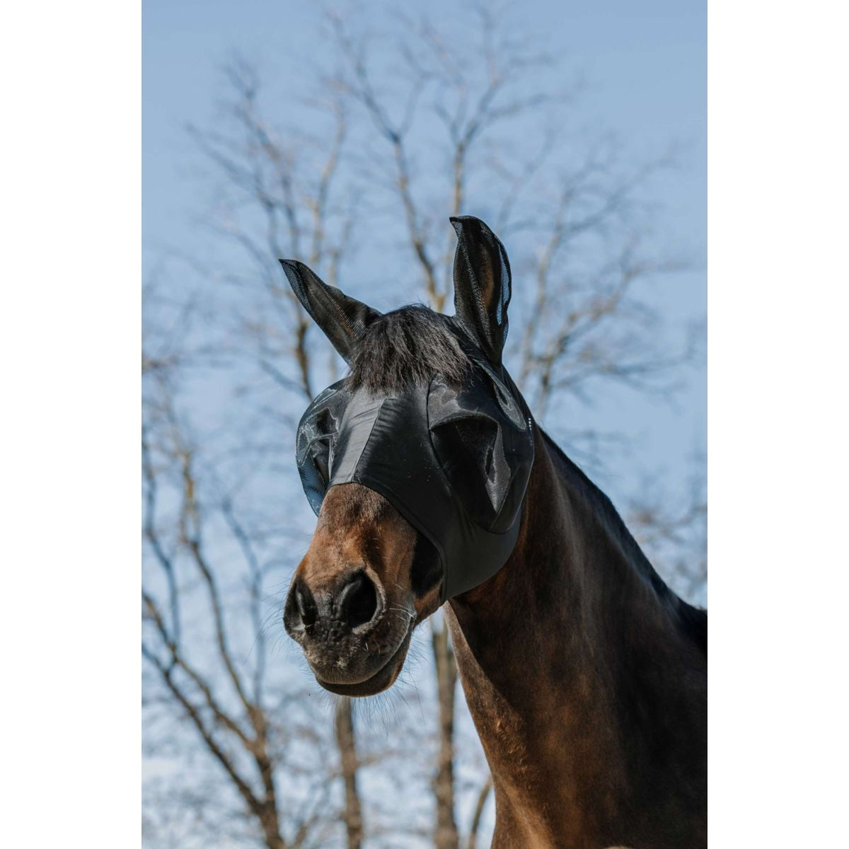 EQUITHÈME Máscara para Moscas Lycra con Protección UV Negro